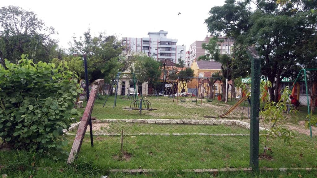 Pet-Friendly Green Space