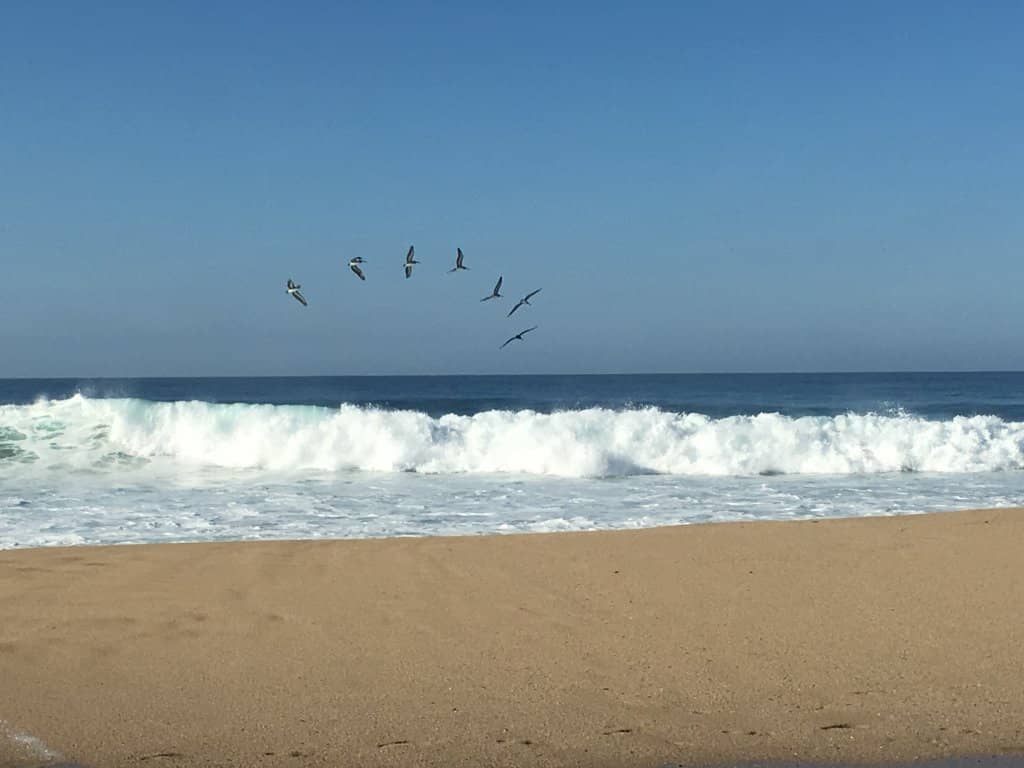 Spectacular Sunset Views