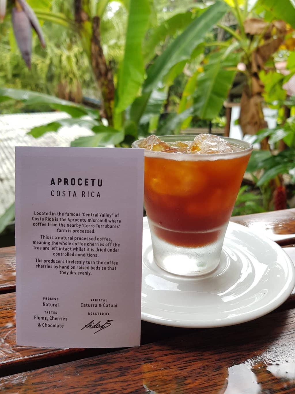 Signature Crocodile Curry