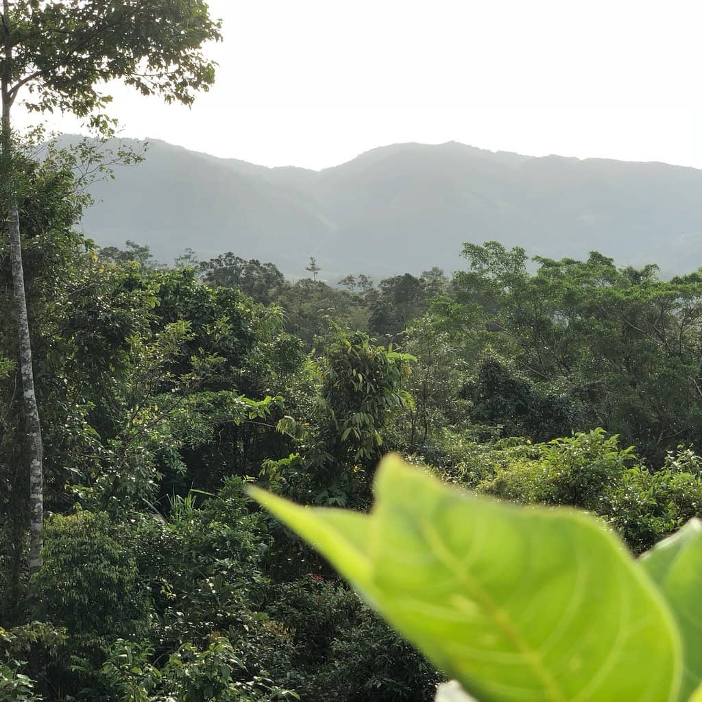 Birdwatching at Villa Aurora Ecotourism Area