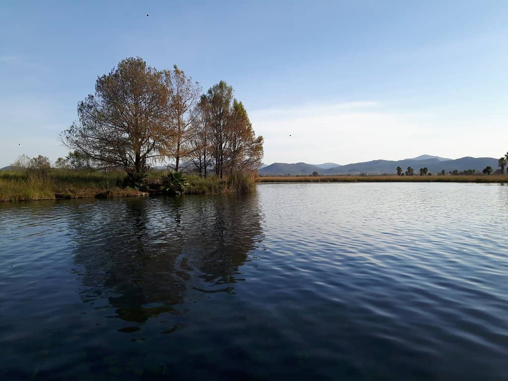 Camping Under the Stars