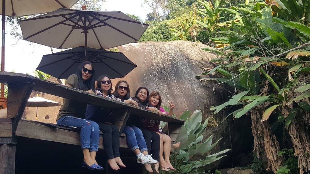 Lush Rainforest Trail