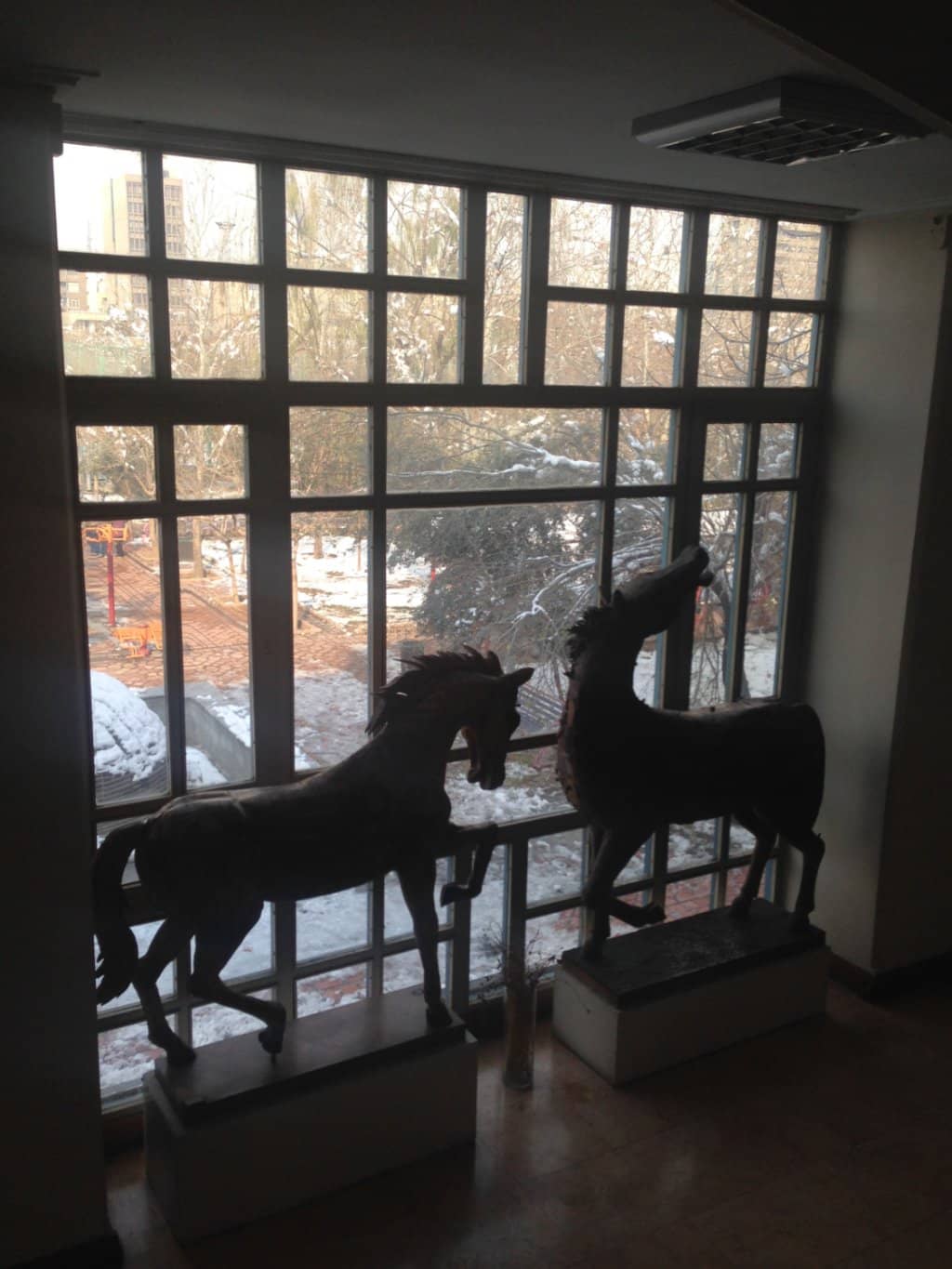 Art Exhibitions & Galleries