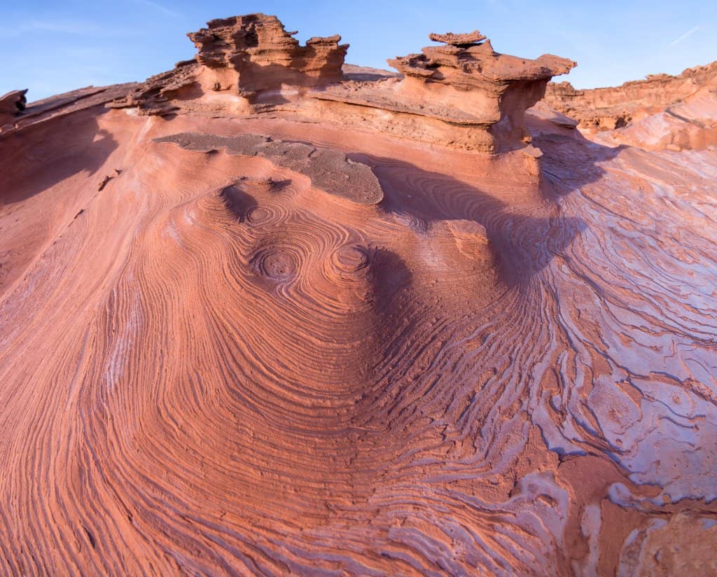 Natural Springs & Palm Trees