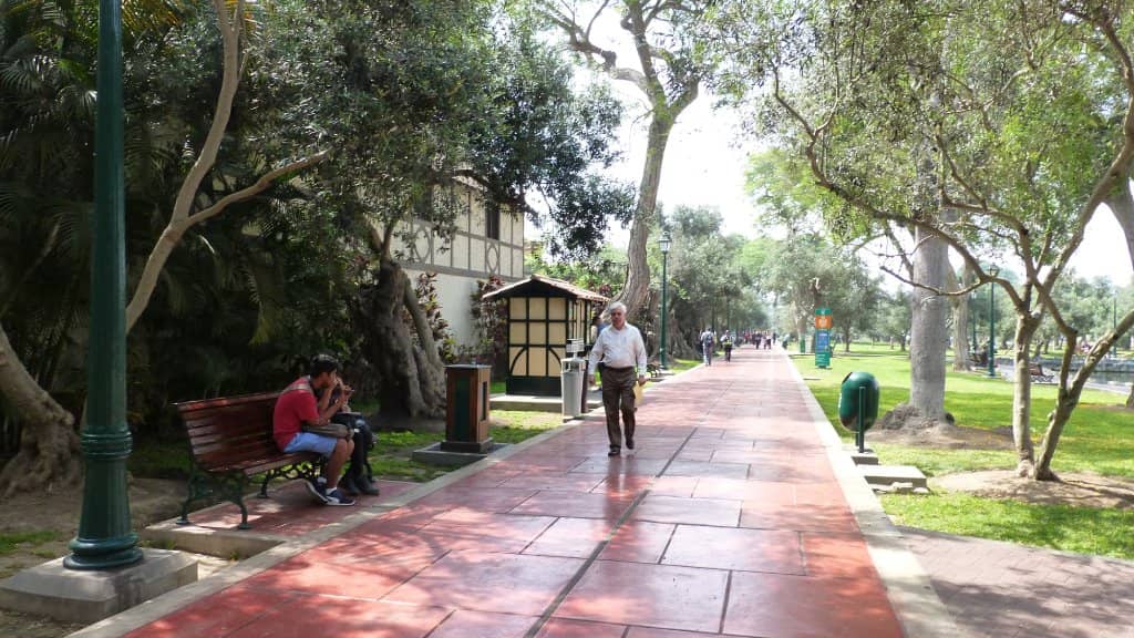 Centuries-Old Olive Grove