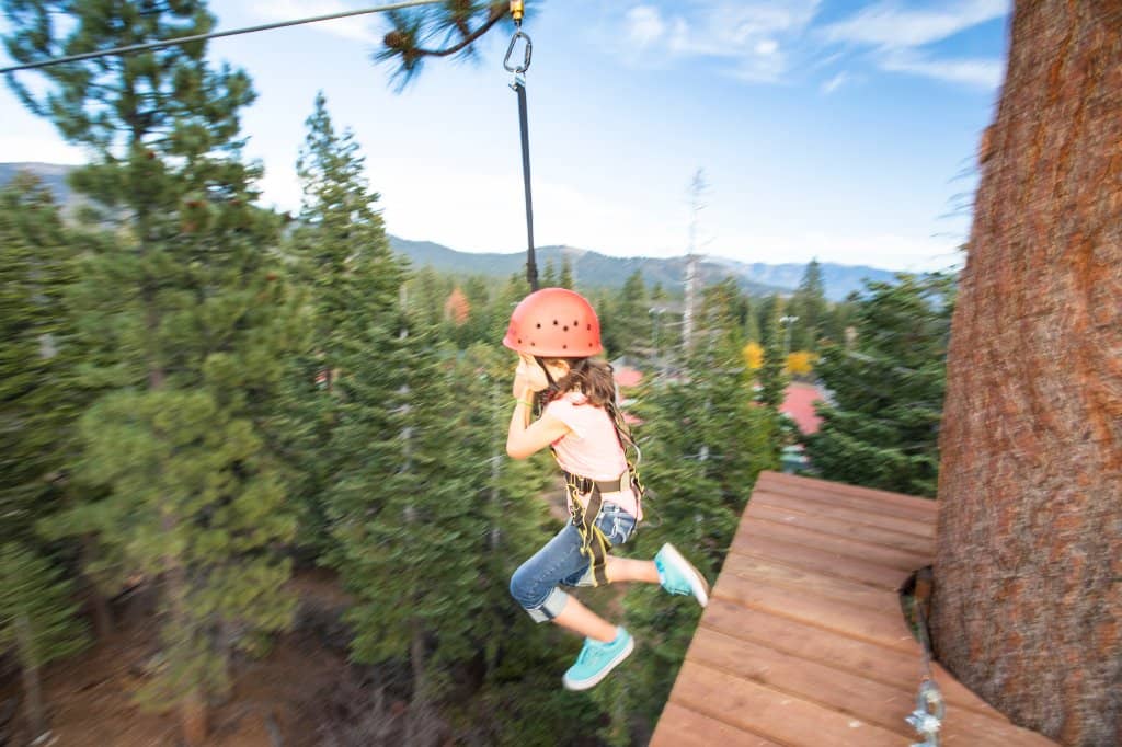 Treetop Obstacle Courses