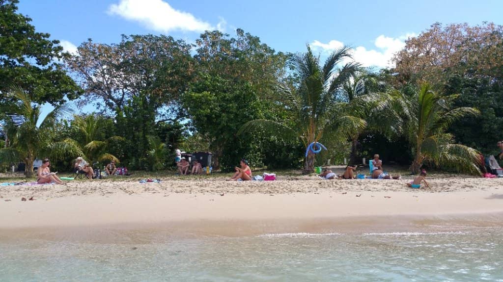 Crystal Clear Waters