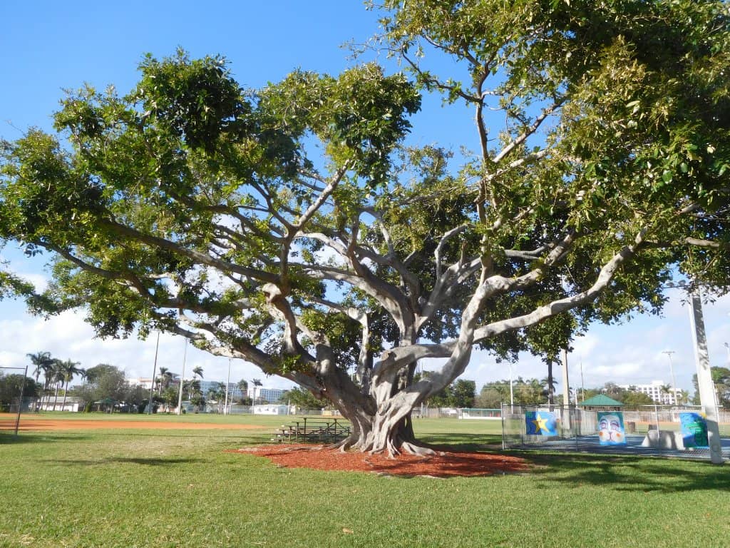 Arts & Seafood Festival