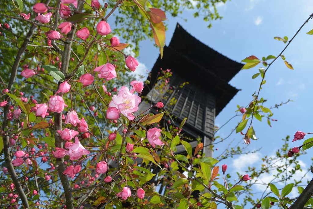 Ninja Maze & Ghost House