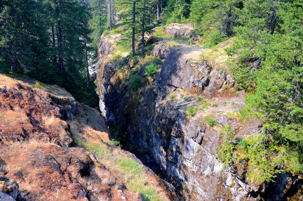 Wildflower & Mountain Vistas