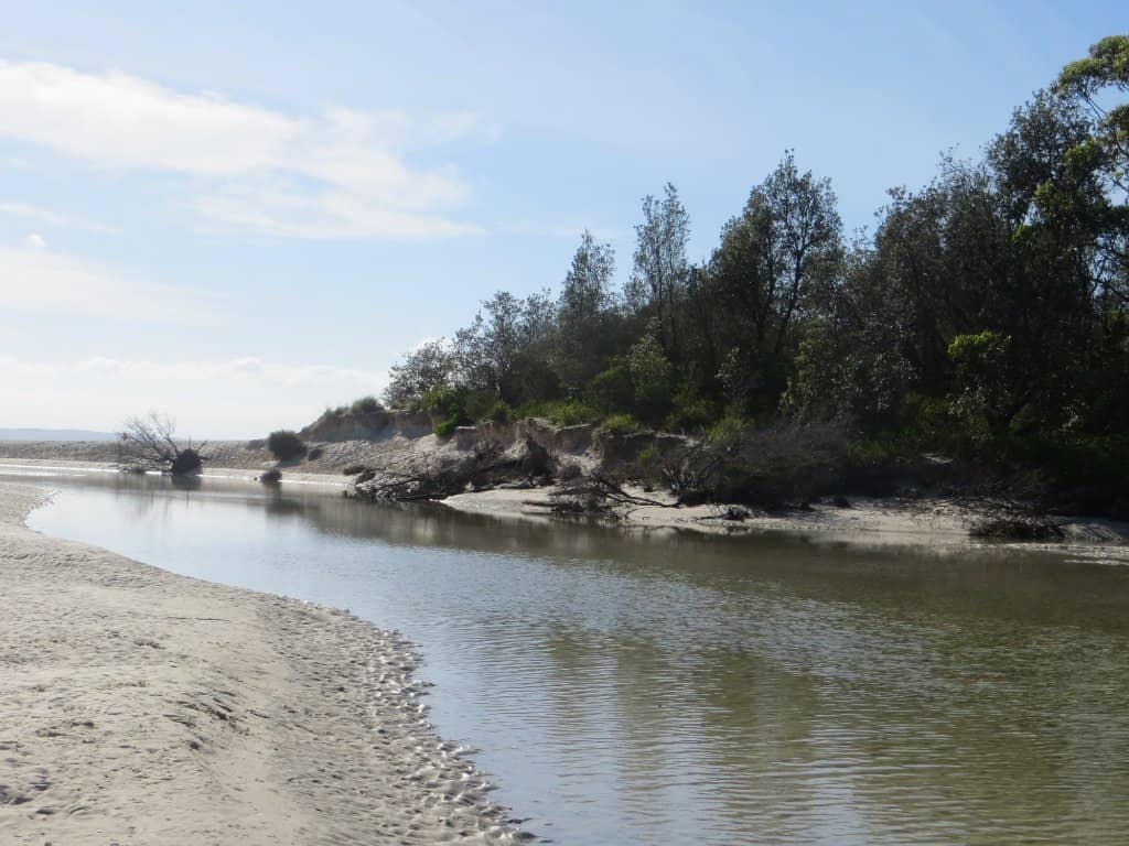 Family Picnic & Play