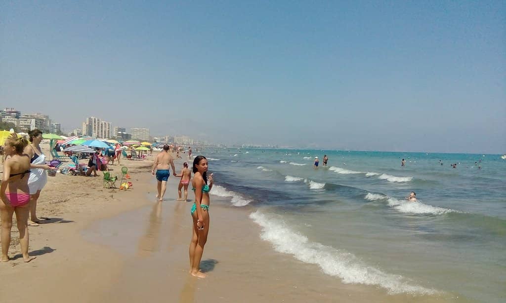 Secluded Cove Ambiance