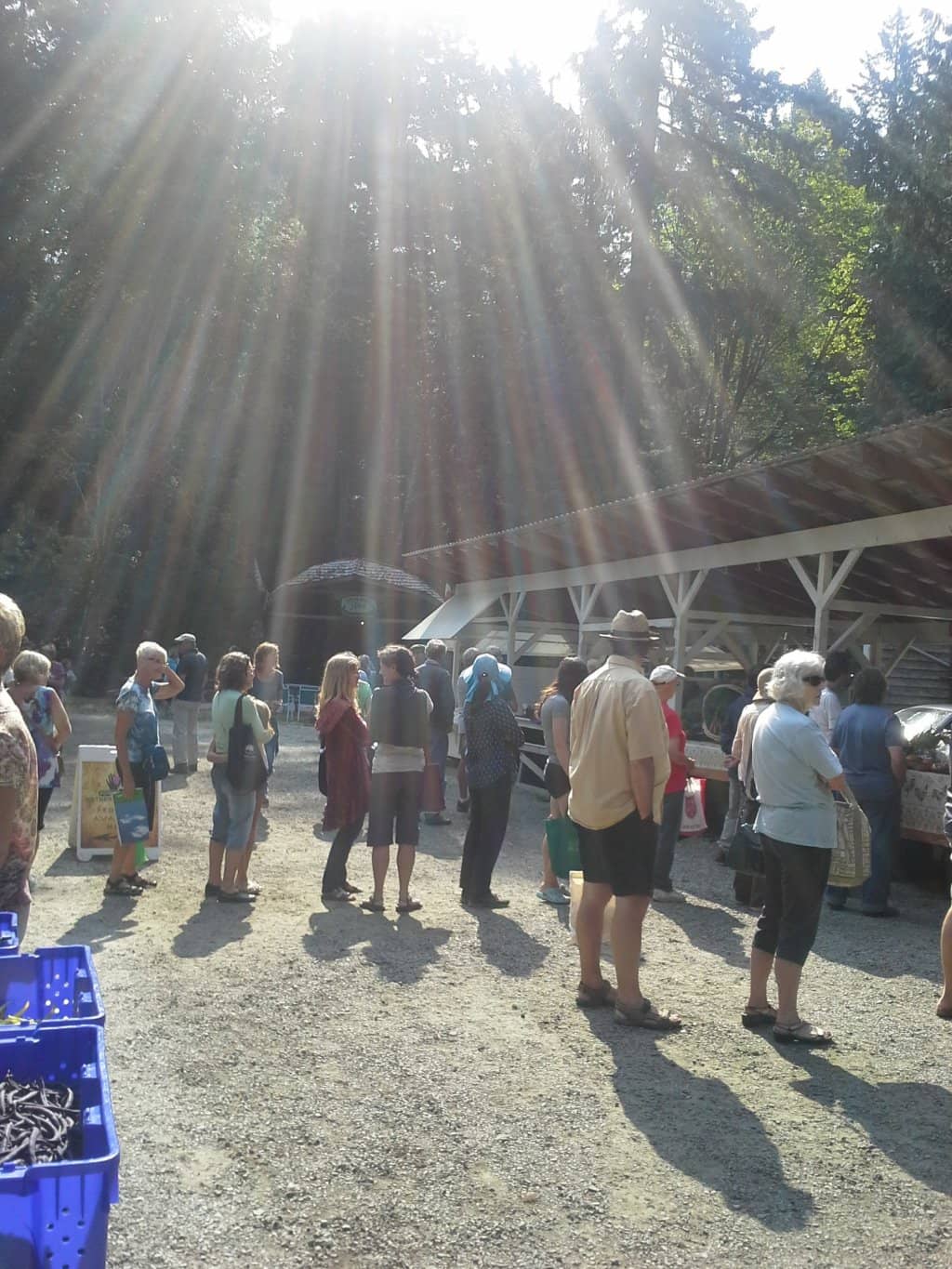 Live Music & Festive Atmosphere