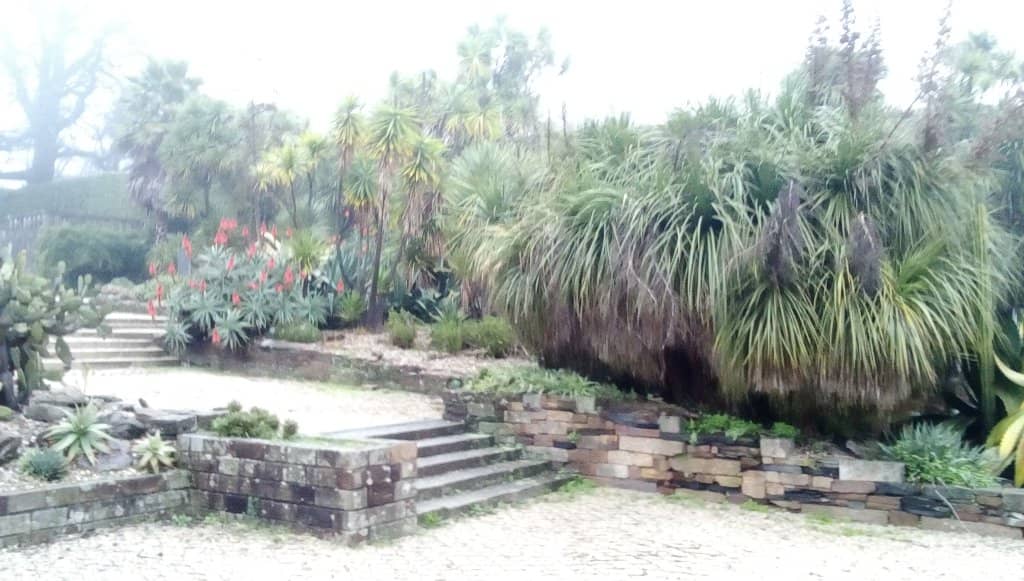 Galeria da Biodiversidade