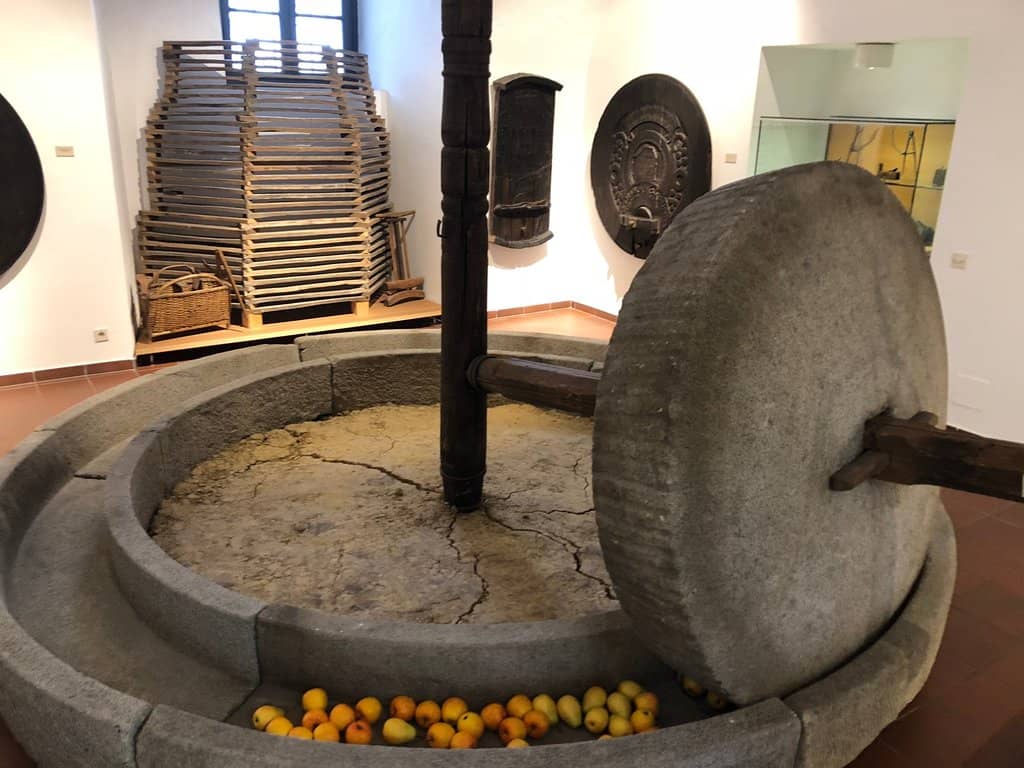 Captivating Museum Experience