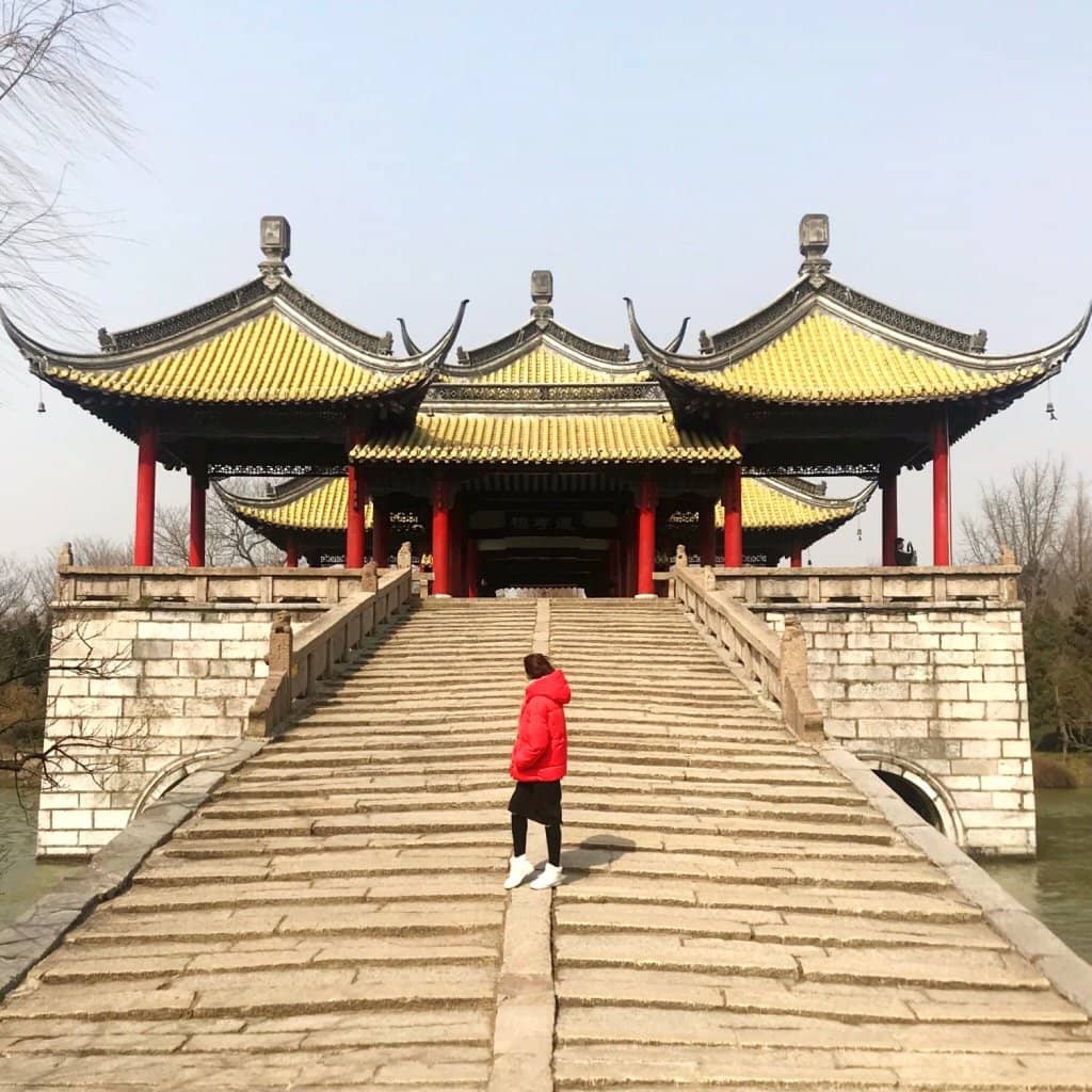 Mangrove Coastline Views