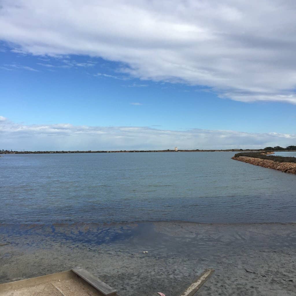 Marina Stroll & Sunset