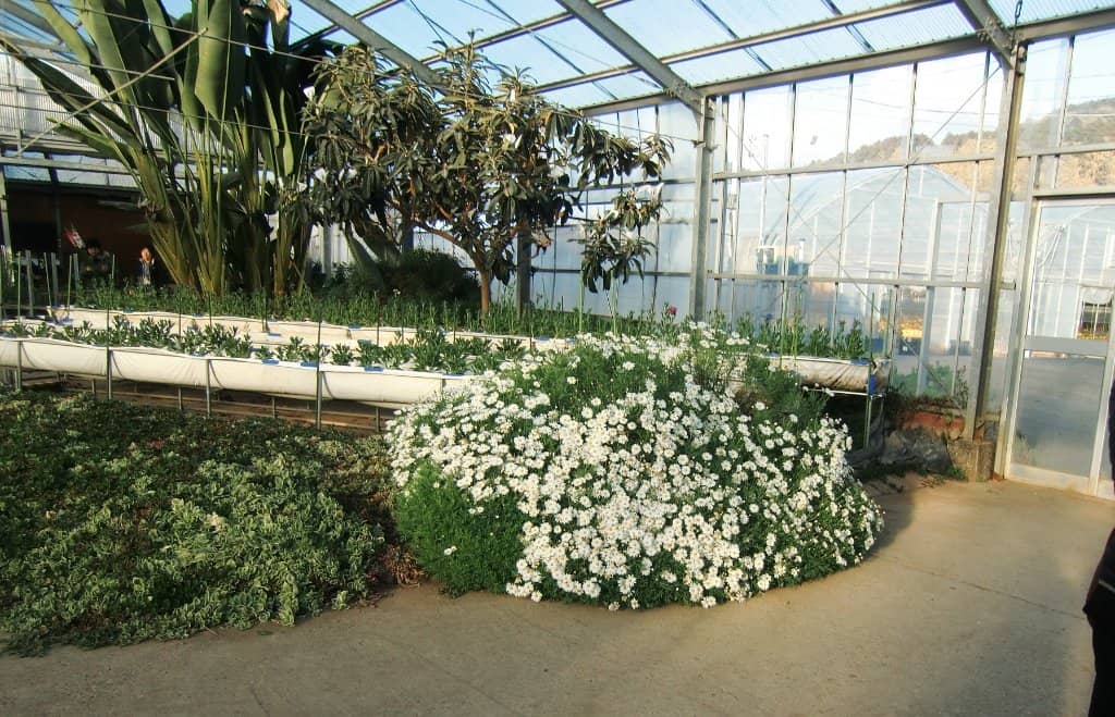 Relaxing Coffee Break