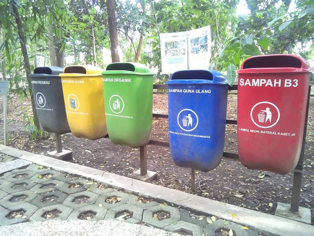 Birdwatcher's Paradise