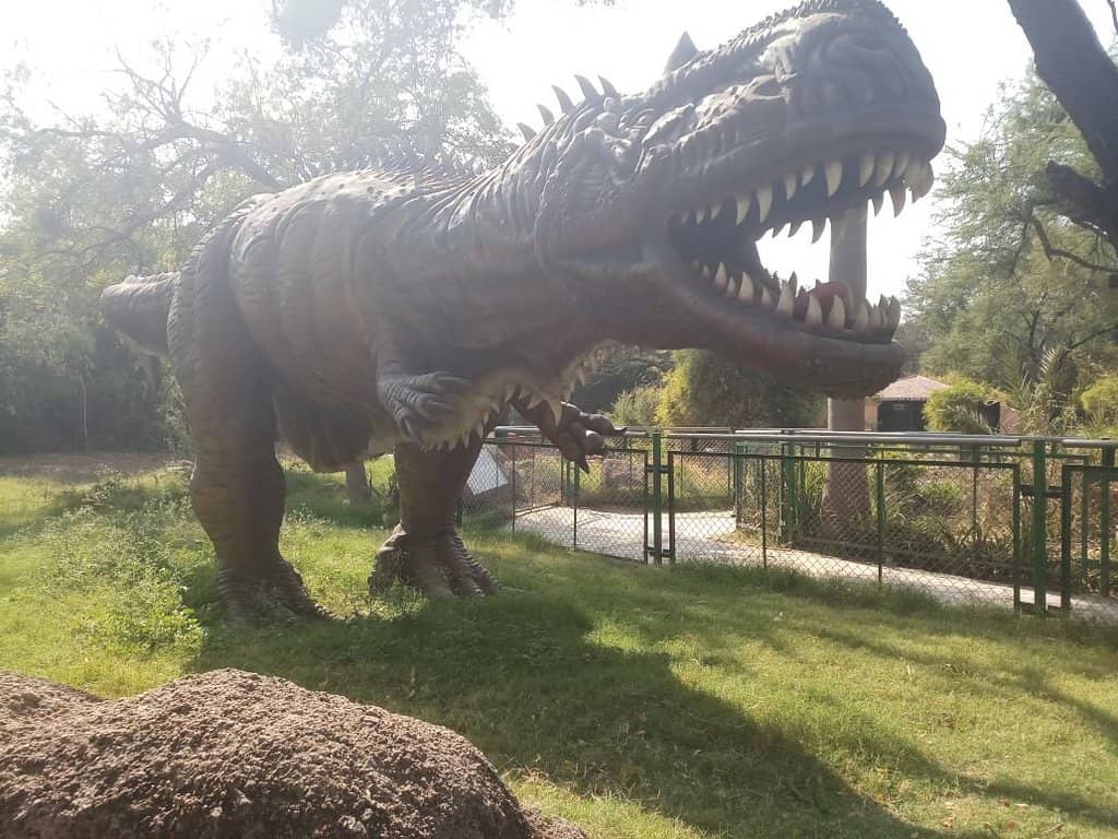 Zoo and Wildlife Encounters