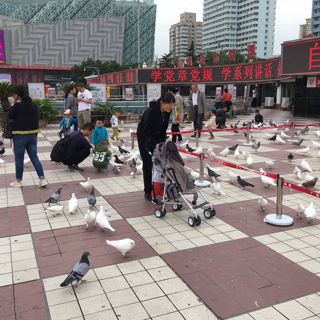 Bustling Underground Mall