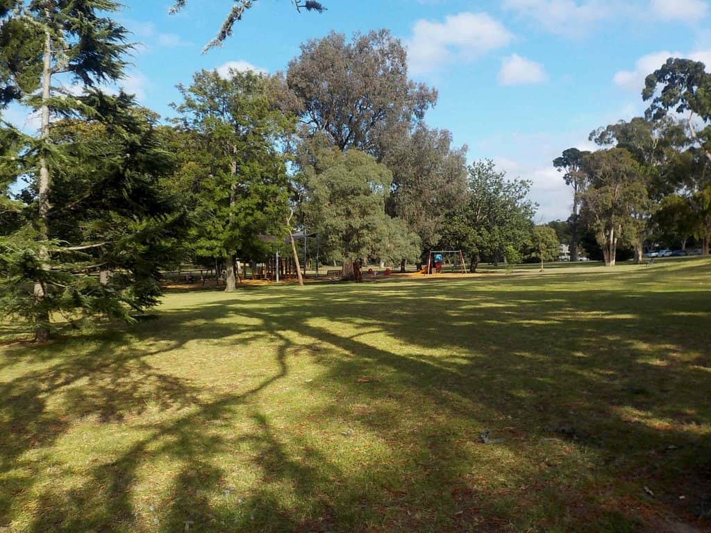 Sovereign Tree Sculpture