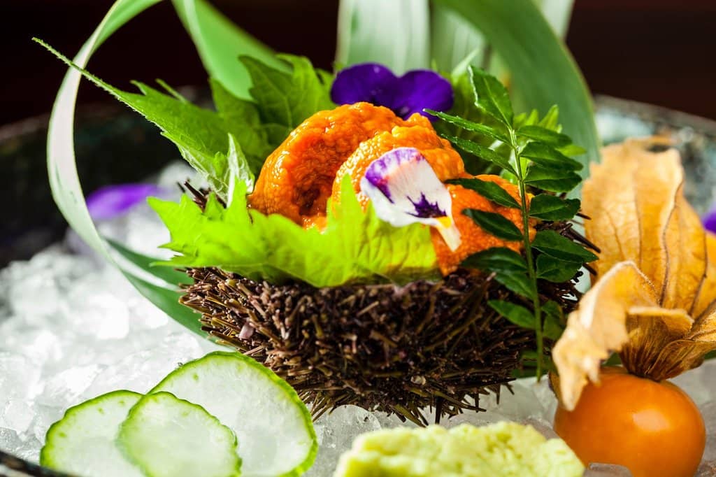 Vibrant Atmosphere & Views