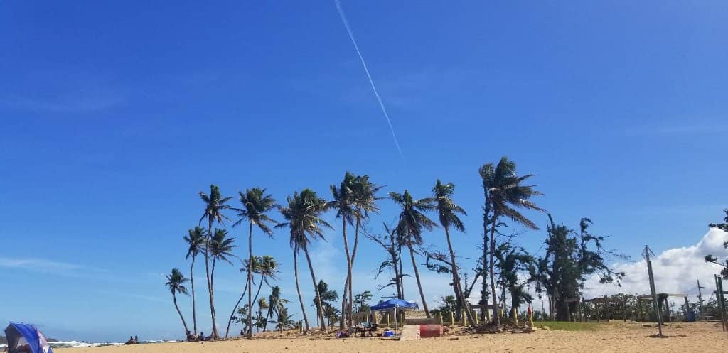 Seafood Dining with a View