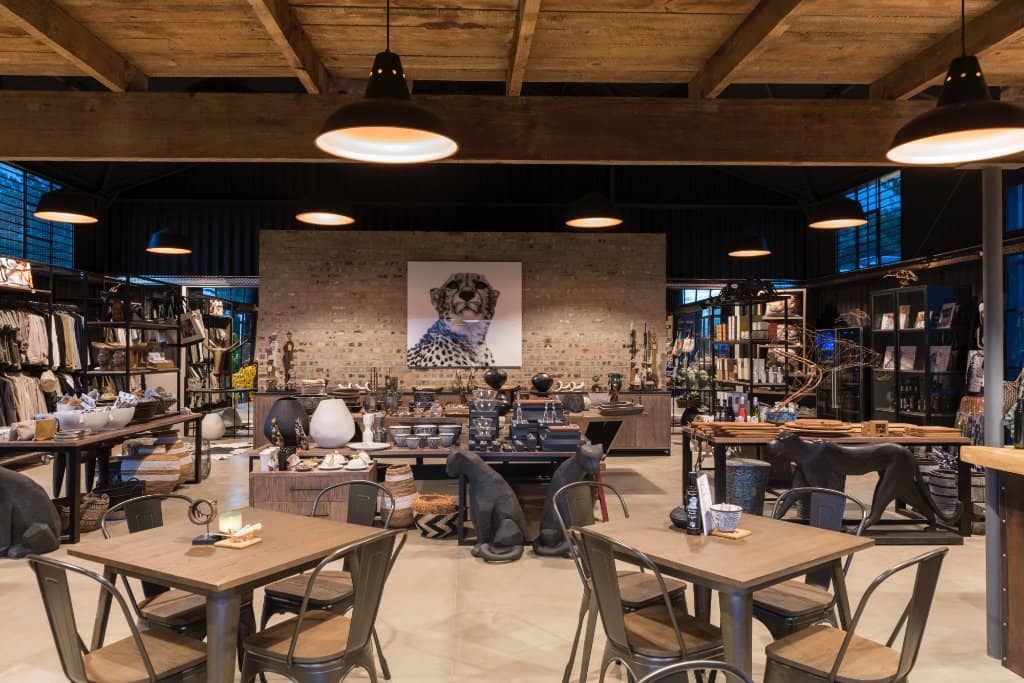 Meet a Cheetah Experience