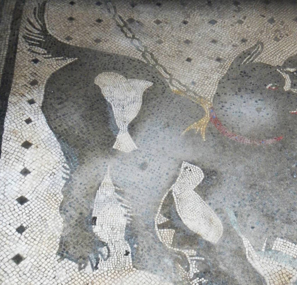 Ancient Fast-Food Counter