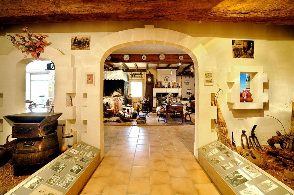 Quirky Exhibit Collection