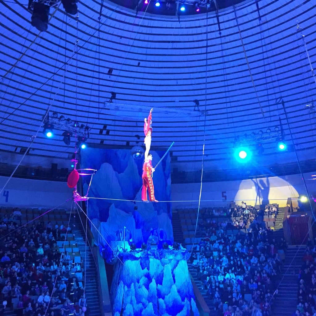 Majestic Animal Acts