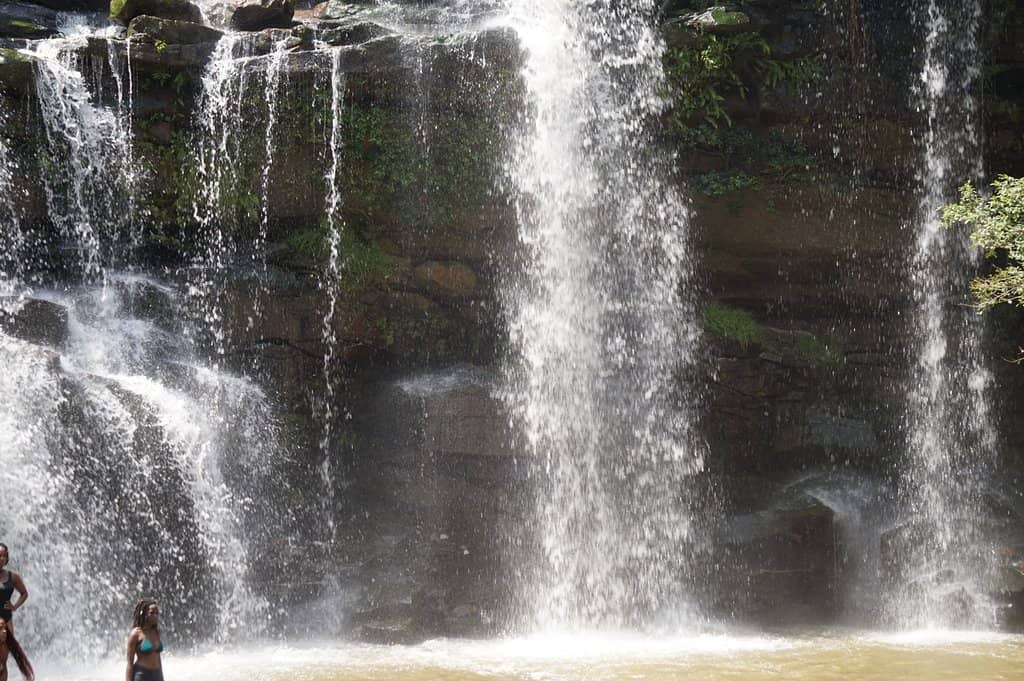 Scenic Hiking Trails