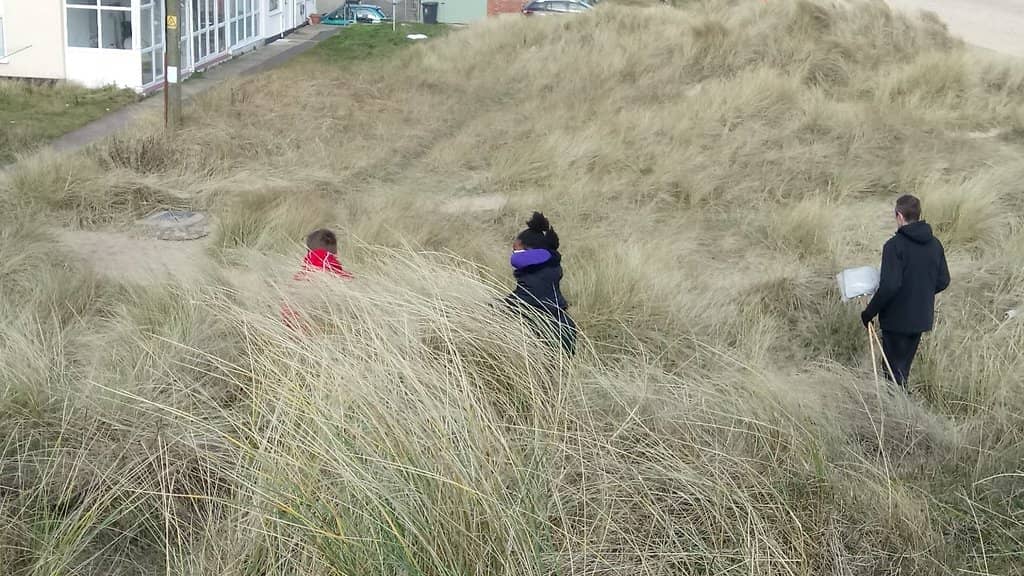 Expansive Sandy Shores