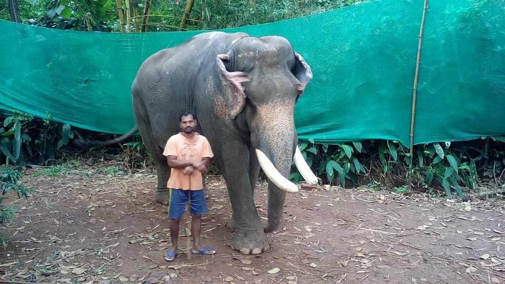 Tambdi Surla Mahadev Temple