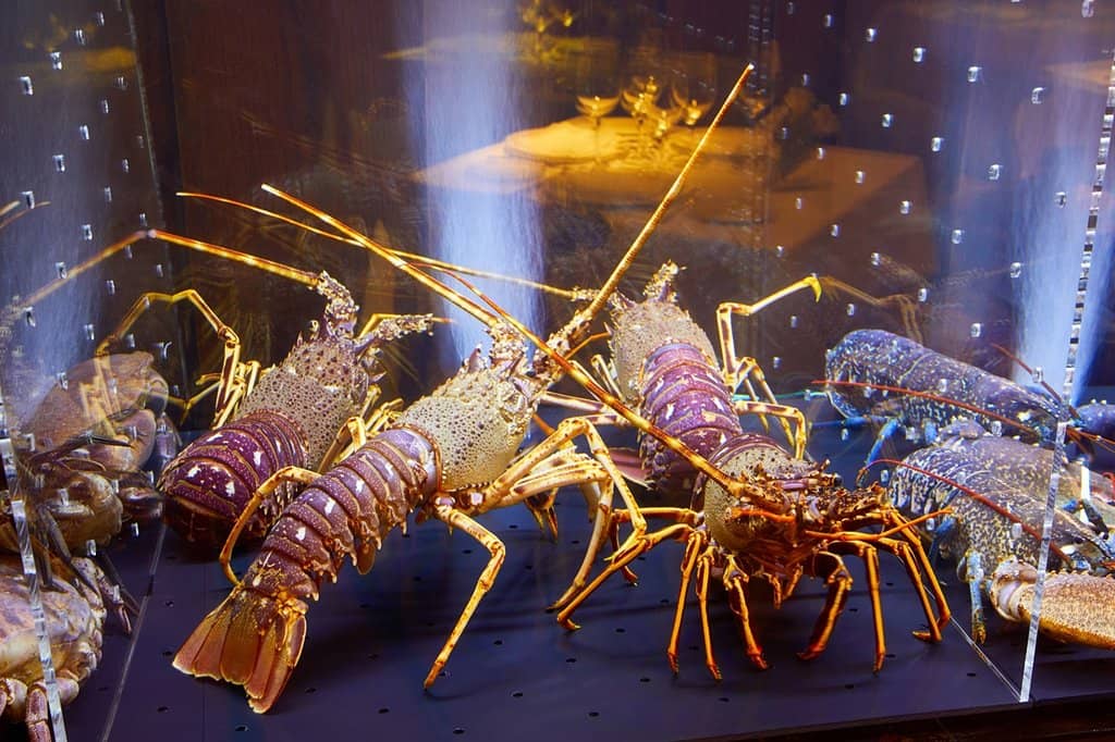 Cozy & Intimate Atmosphere