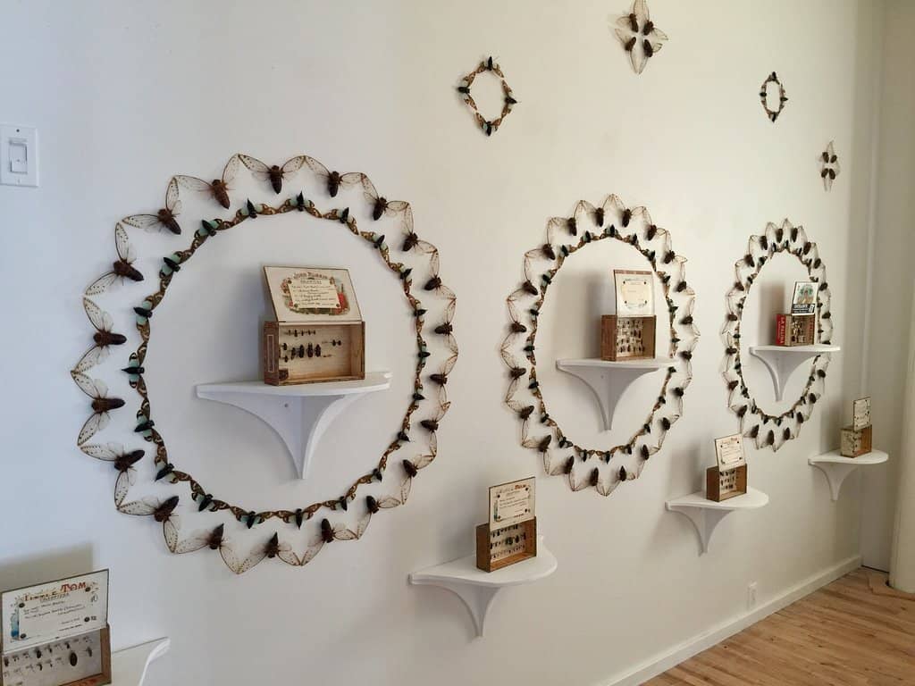 Live Model Drawing Classes