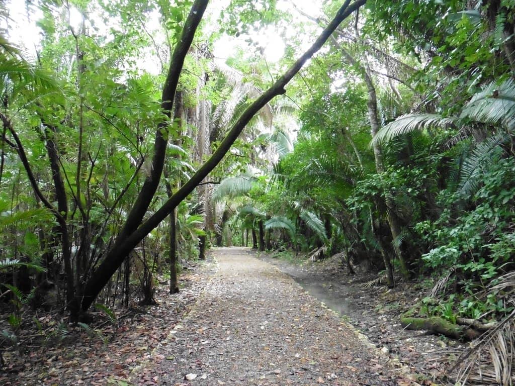 Jade Head Discovery Site