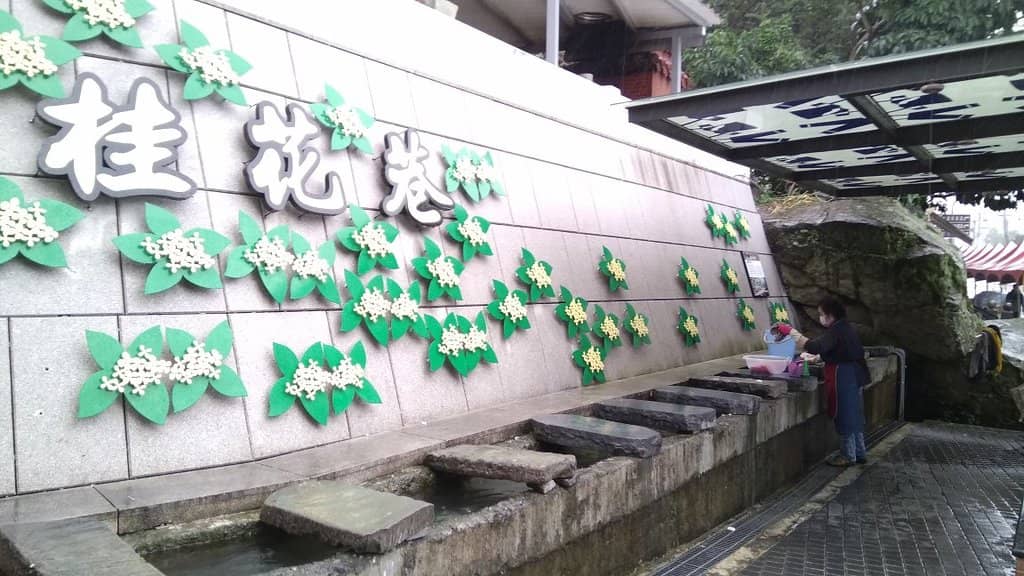 Seasonal Flower Festivals