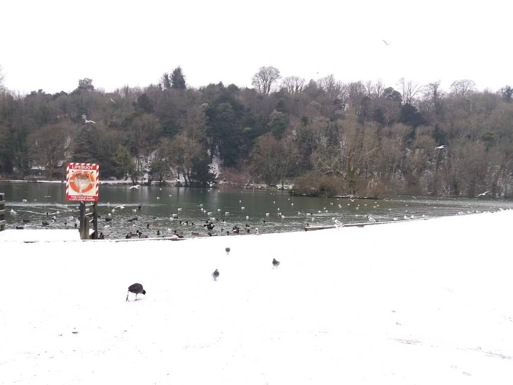 Boat Hire on the Lake