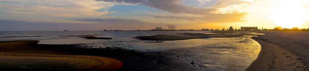 Summer Concert Series