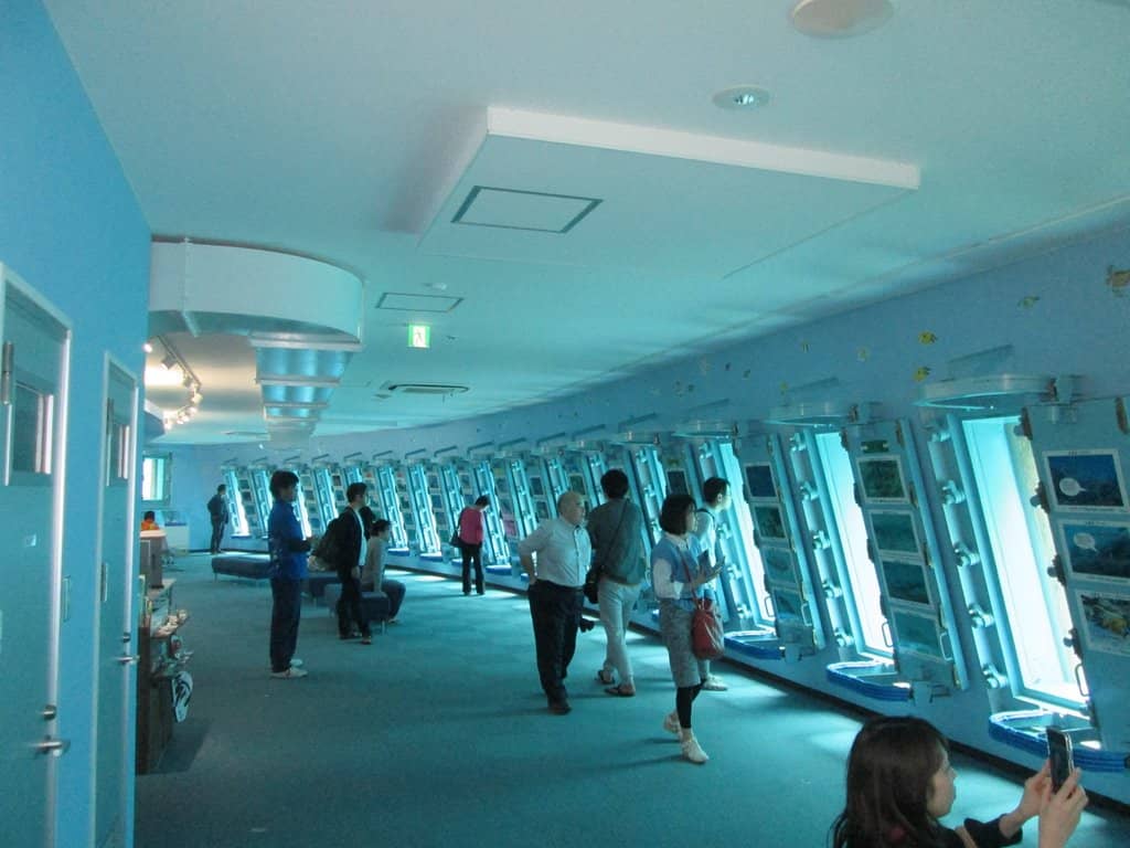 Ingya Marine Garden Park