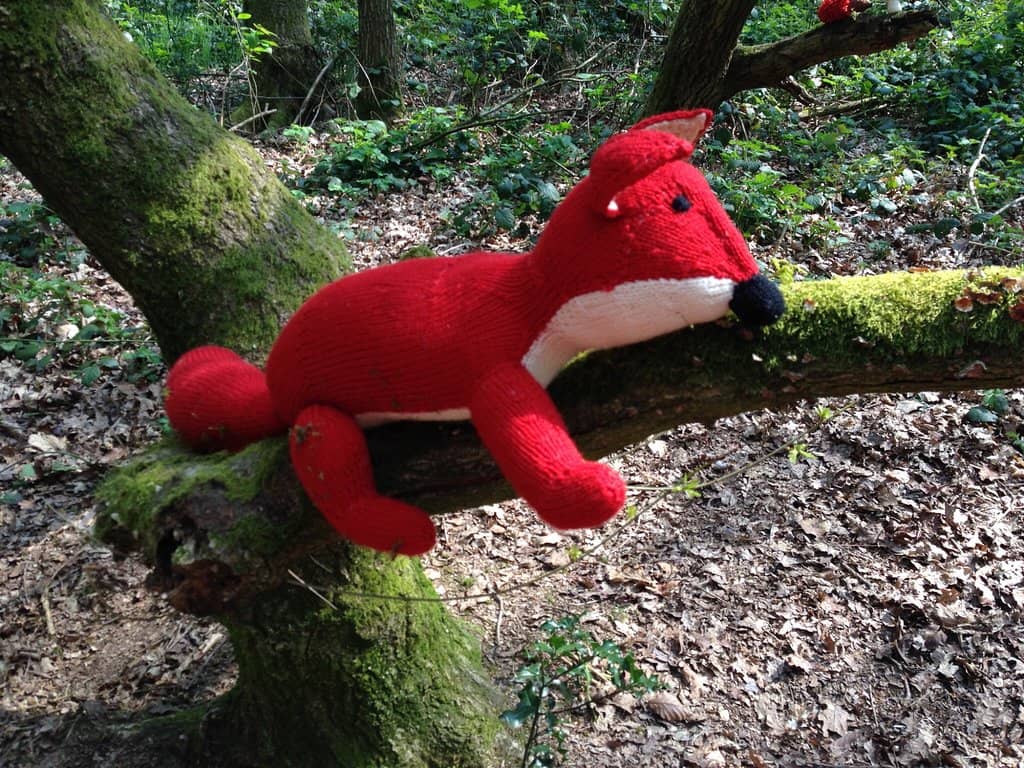 Scenic Hilltop Views