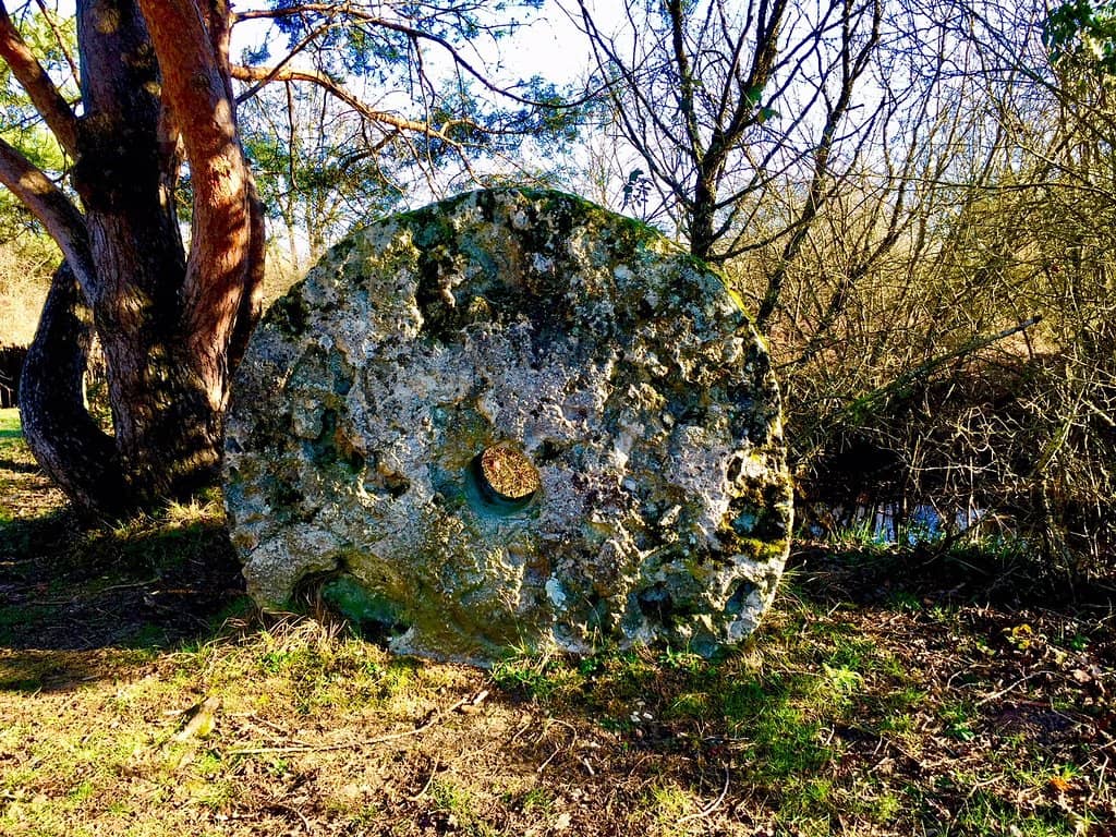 Interactive Educational Zone