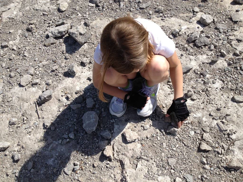 Picnic Areas & Walking Paths