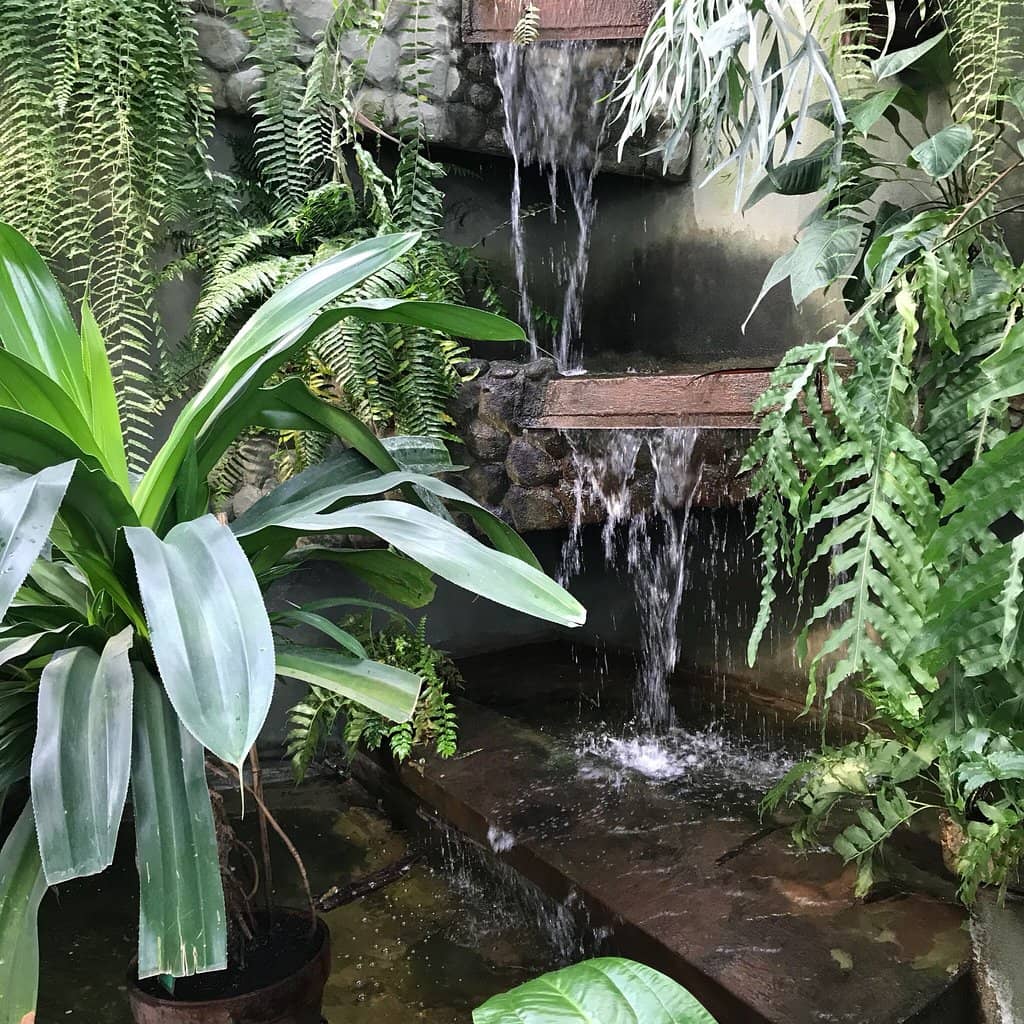 Engaging Fauna Exhibits