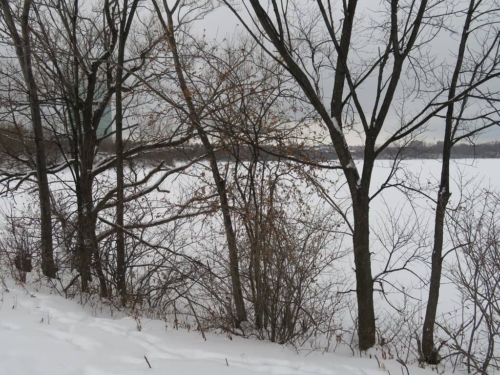 Scenic Walking & Biking Trails