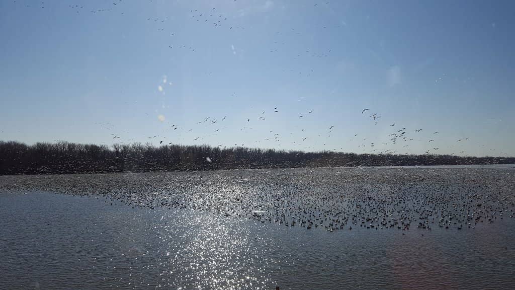 Steamboat Bertrand Museum