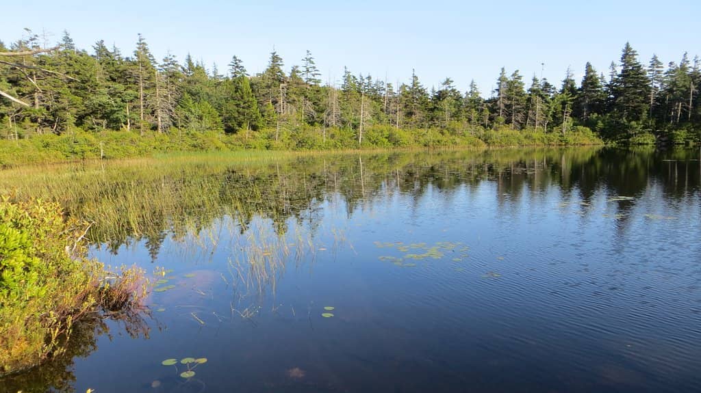 Challenging Penobscot Mountain Trail