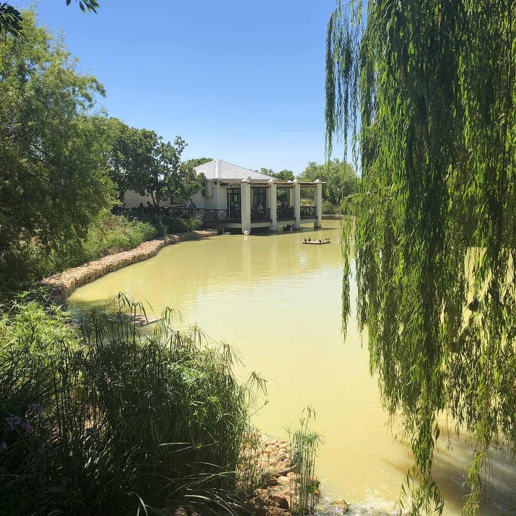 Award-Winning Cabernet Franc